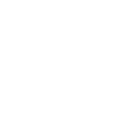 CASUAL 212