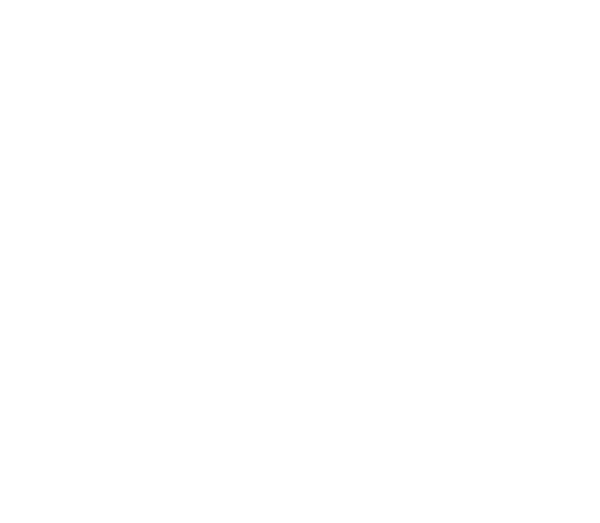 CASUAL 212